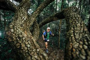 BIB: 
                            <button type="button" onclick="openModal(25394010)" class="btn btn-primary btn-sm float-right btn-popup" data-toggle="modal" data-target=".modal-high-quality">
                        <i class="fas fa-shopping-cart"></i> Add to Cart
                    </button>
                                            <button type="button" onclick="isThisMe(25394010, true)" class="btn btn-success btn-sm float-right btn-popup btn-isme hidden" data-toggle="tooltip" data-placement="bottom" title="นี่คือรูปของคุณใช่ไหม คลิกที่นี่เพื่อเอาเข้าอัลบั้ม">
                        <i class="fas fa-plus"></i> Add to album
                    </button>
                    <button type="button" onclick="isThisMe(25394010, false)" class="btn btn-warning btn-sm float-right btn-popup btn-isnotme hidden">
                        <i class="fas fa-ban"></i> Remove from album
                    </button>